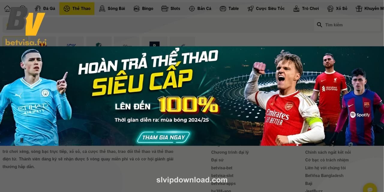 SLVIP Rewards Dashboard